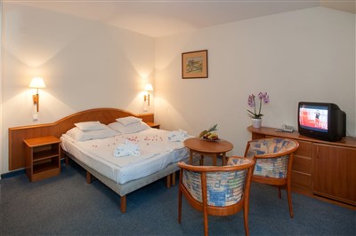 Kehida Termal Hotel - Kehida Termal Hotel - Maďarsko, Kehidakustány