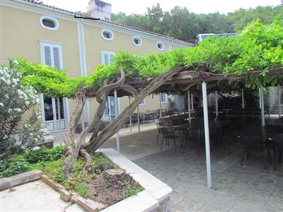 Tourist settlement Uvala Scott - Hotel Uvala Scott - Chorvatsko, Severní Dalmácie, Kraljevica