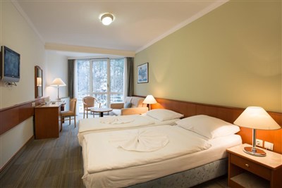 Hotel Zdravilišče Laško - Hotel Zdravilišče Laško - Slovinsko, Laško