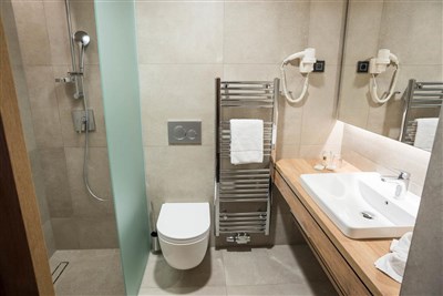 Hotel Zdravilišče Laško - Hotel Zdravilišče Laško - Slovinsko, Laško