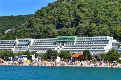 Hotel Hedera +