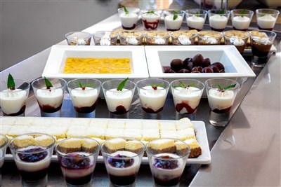 Hotel Aurora Plava Laguna (ex. Sol Aurora)