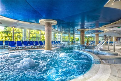 Thermal Hotel Visegrad