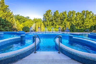 Thermal Hotel Visegrad