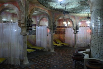 Thermal Hotel Visegrad