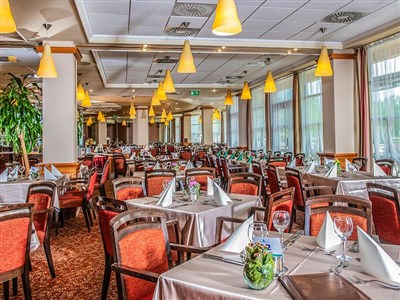 Thermal Hotel Visegrad