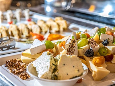 Thermal Hotel Visegrad