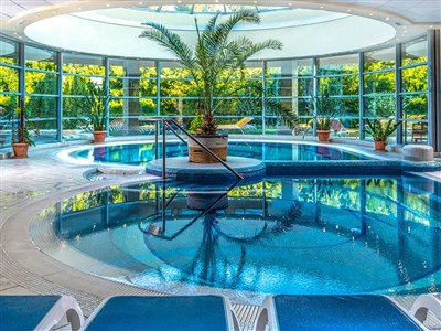 Thermal Hotel Visegrad