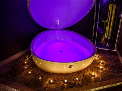 Thermal Hotel Visegrad