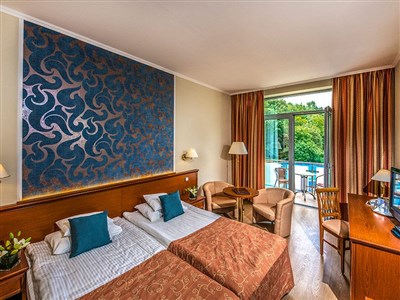 Thermal Hotel Visegrad