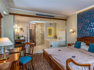 Thermal Hotel Visegrad