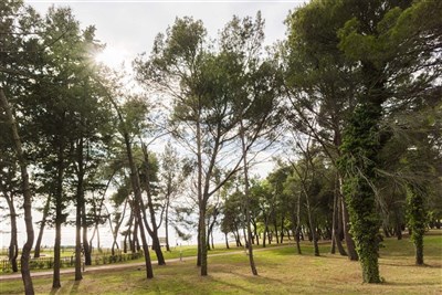 Apartmány Amfora Plava Laguna (ex. Sol Amfora)