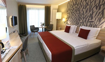 Ensana Thermal Aqua Health Spa Hotel (ex. Danubius)