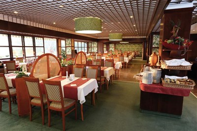 Ensana Thermal Aqua Health Spa Hotel (ex. Danubius)