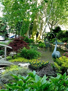 NaturMed Hotel Carbona