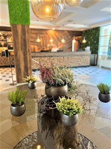 Thermal Hotel Visegrad