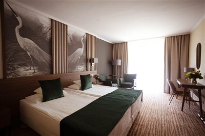 Thermal Hotel Visegrad