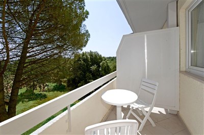 Hotel Delfin Plava Laguna