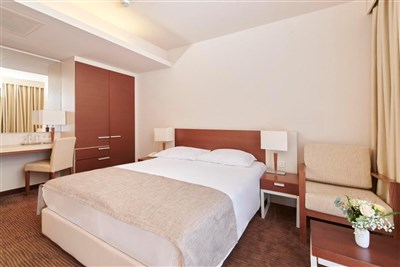 Hotel Albatros Plava Laguna