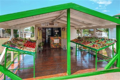 Mobilní domky Camping Park Umag