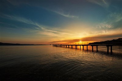 Hotel Olive Family Suites