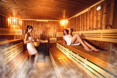 Hotel Ski & Wellness Residence Družba