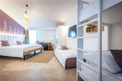 Hotel Vile Park Premium