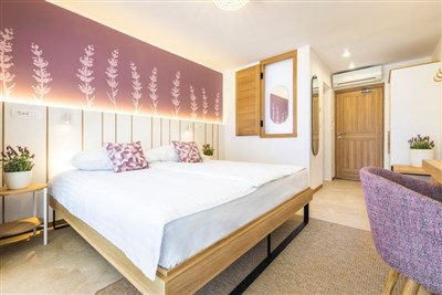 Hotel Vile Park Premium