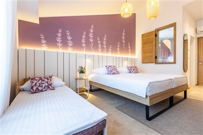 Hotel Vile Park Premium