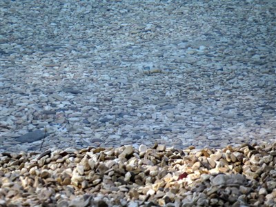 Apartmány Mala Luka