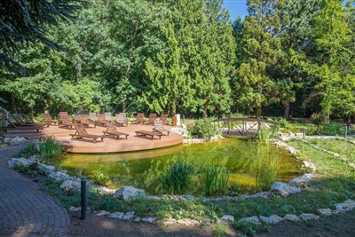 Fagus Hotel Conference & Spa