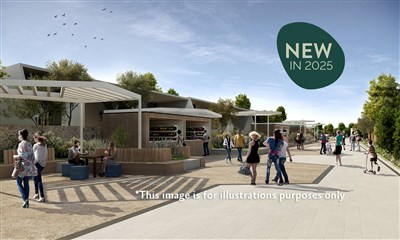 Aminess Atea Camping Resort