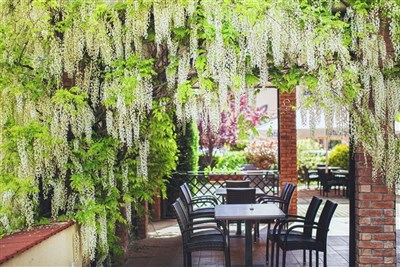 Caramell Premium Resort Superior