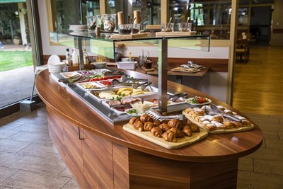 Vulkán Wellness Hotel & Camping