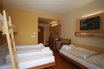 Vulkán Wellness Hotel & Camping