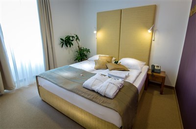 Hotel Zdraviliški dvor