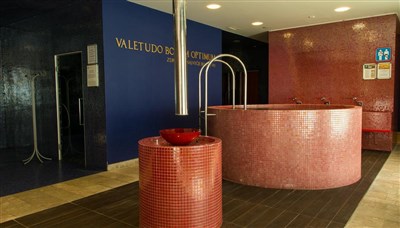 Hotel Zdraviliški dvor