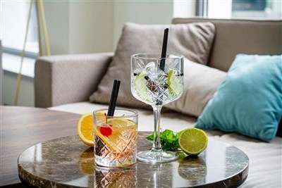 Hotel Zdraviliški dvor