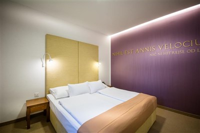 Hotel Zdraviliški dvor