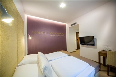 Hotel Zdraviliški dvor