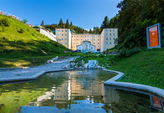 Hotel Zdraviliški dvor