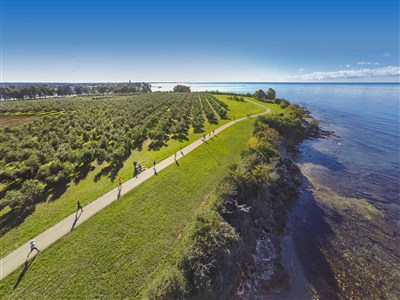 Hotel Aminess Laguna