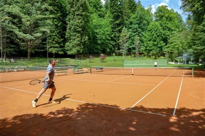 Boutique Hotel Dobrna