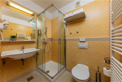 Hotel Aurora - Chorvatsko, ostrov Lošinj, Mali Lošinj, hotel Aurora - pokoj DBL Standart park