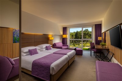 Vitality hotel Punta - Chorvatsko, ostrov Lošinj, Veli Lošinj, Vitality hotel Punta - DBL Standart plus, balkon, park