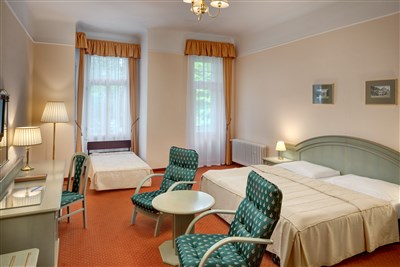 Ensana Svoboda - Česko, Mariánské Lázně, Ensana Svoboda- DBL Komfort