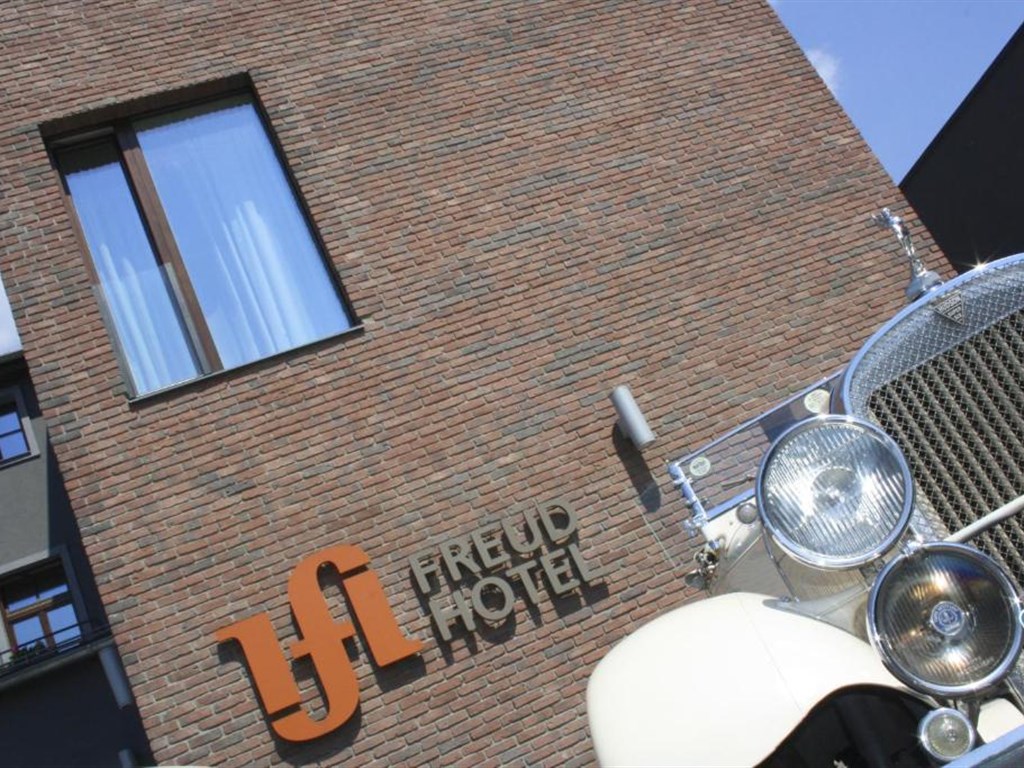 Hotel Freud