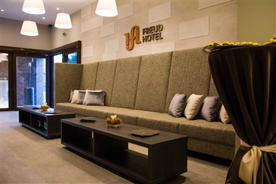 Hotel Freud