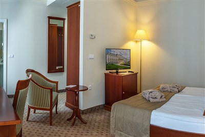 Grand hotel Rogaška - Slovinsko, Rogaška Slatina, Grand hotel Rogaška - DBL 2(+0) Premium Park