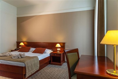 Grand hotel Rogaška - Slovinsko, Rogaška Slatina, Grand hotel Rogaška - DBL 2(+0) Premium Park